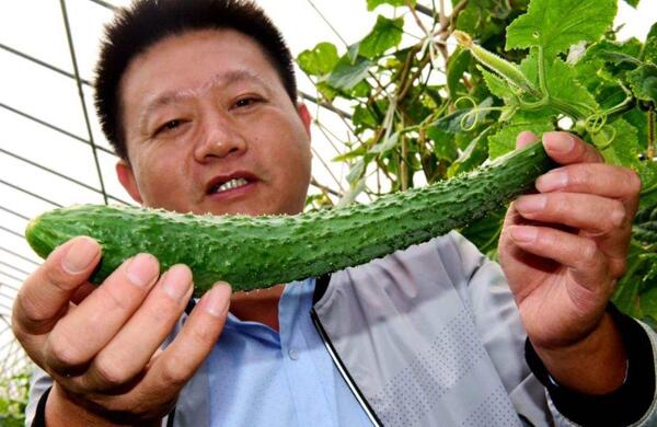 生鮮食材配送為什么大多不能與客戶建立長期合作？